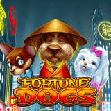 Fortune Dogs™